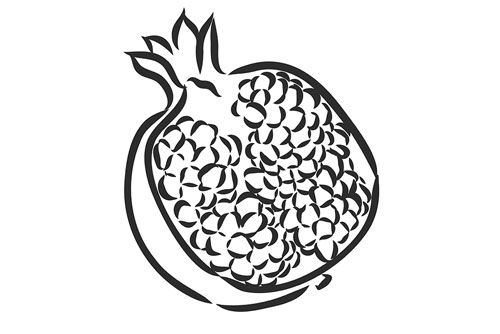 وکتور رایگان طرح گرافیکی نقاشی انار ویژه شب یلدا فایل EPS لایه باز